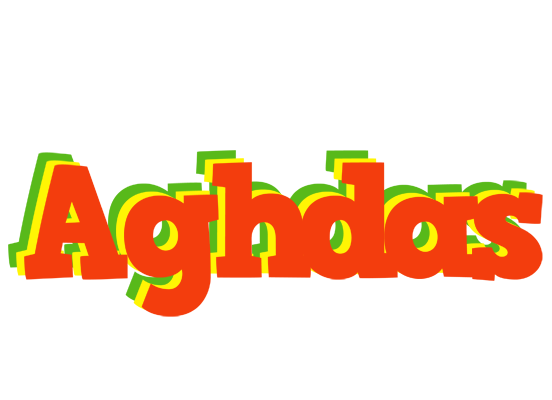 Aghdas bbq logo