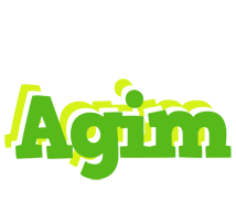 Agim picnic logo