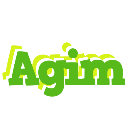 Agim picnic logo