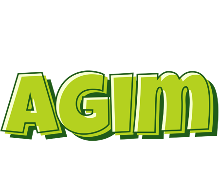 Agim summer logo