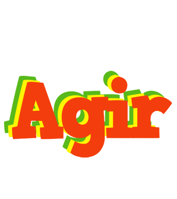 Agir bbq logo