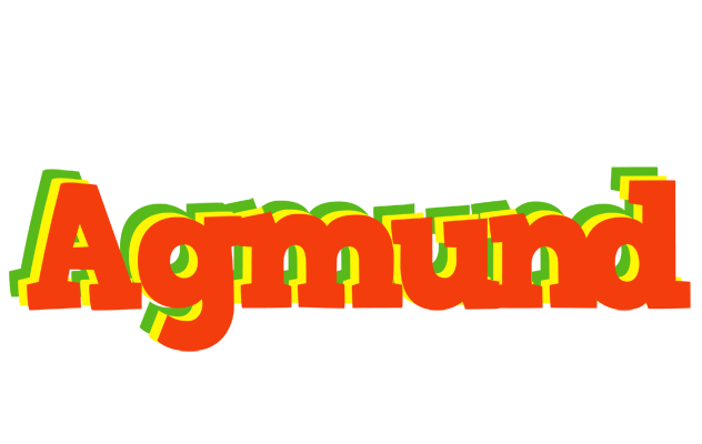 Agmund bbq logo