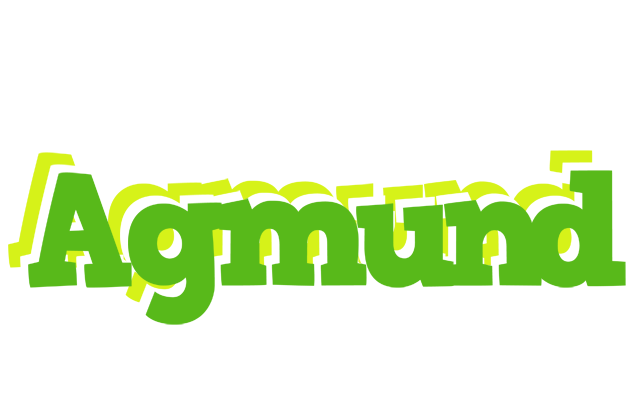 Agmund picnic logo