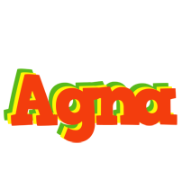 Agna bbq logo
