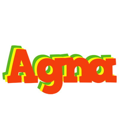 Agna bbq logo