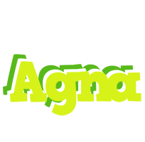 Agna citrus logo