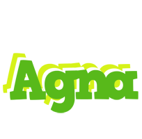 Agna picnic logo