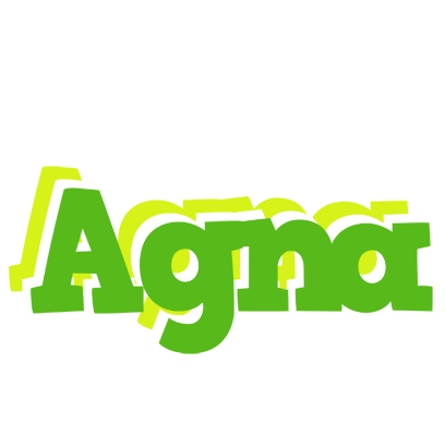Agna picnic logo