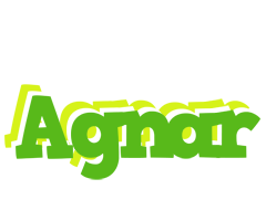 Agnar picnic logo
