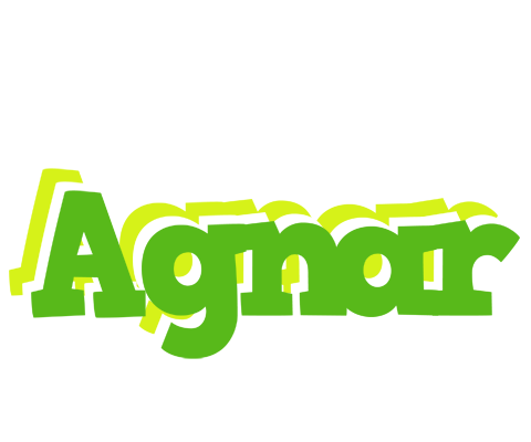 Agnar picnic logo