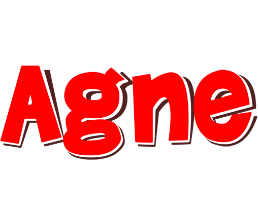 Agne basket logo