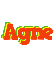 Agne bbq logo