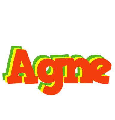 Agne bbq logo