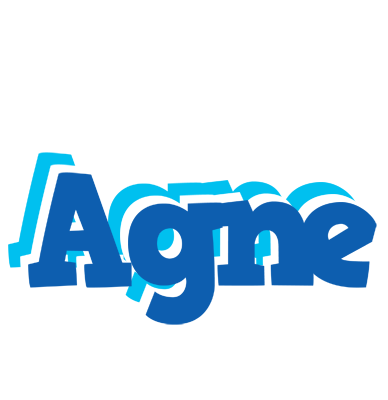 Agne business logo
