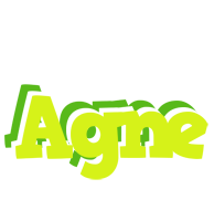 Agne citrus logo