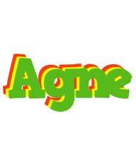 Agne crocodile logo