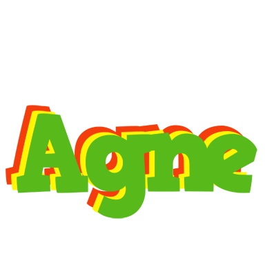 Agne crocodile logo
