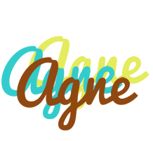 Agne cupcake logo