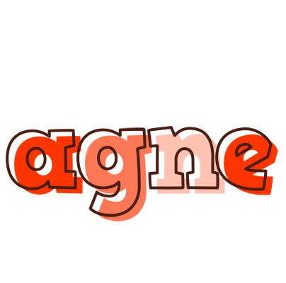 Agne paint logo