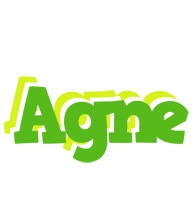 Agne picnic logo