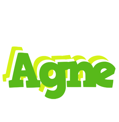 Agne picnic logo