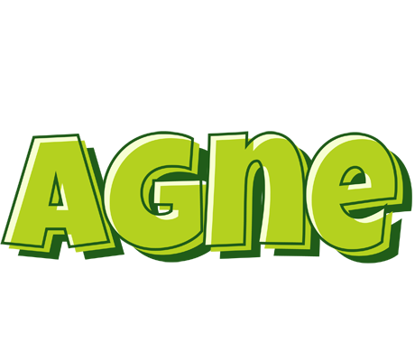 Agne summer logo