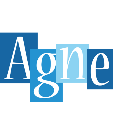 Agne winter logo