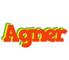 Agner bbq logo