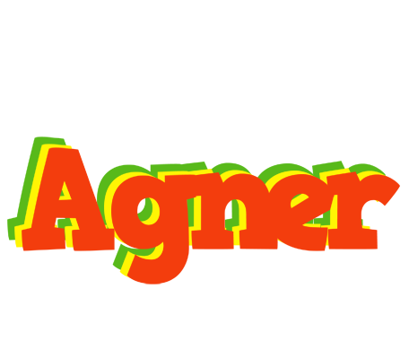 Agner bbq logo