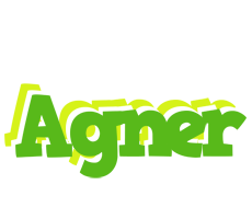 Agner picnic logo