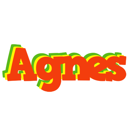 Agnes bbq logo
