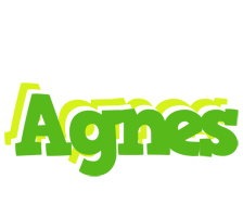 Agnes picnic logo