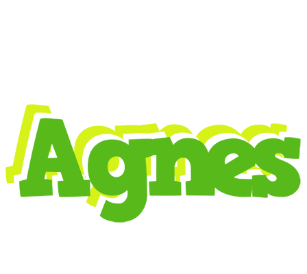 Agnes picnic logo