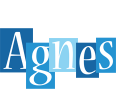 Agnes winter logo