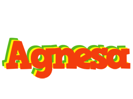 Agnesa bbq logo