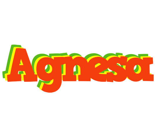 Agnesa bbq logo