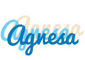 Agnesa breeze logo