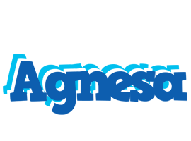 Agnesa business logo