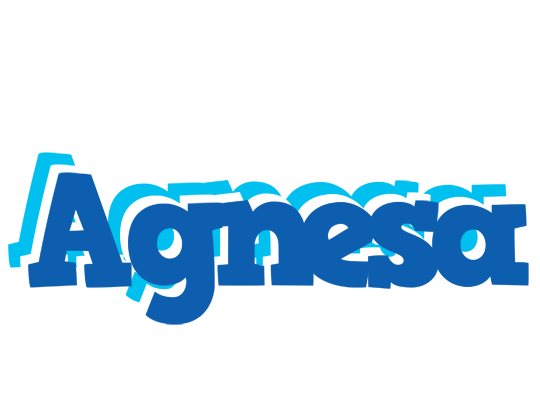 Agnesa business logo