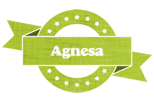 Agnesa change logo