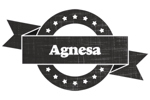 Agnesa grunge logo