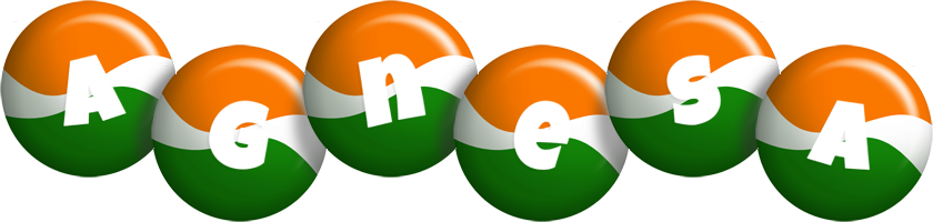 Agnesa india logo