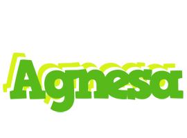 Agnesa picnic logo