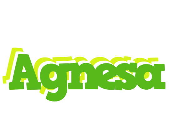 Agnesa picnic logo