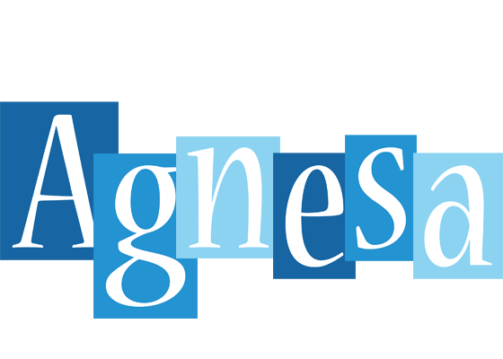Agnesa winter logo