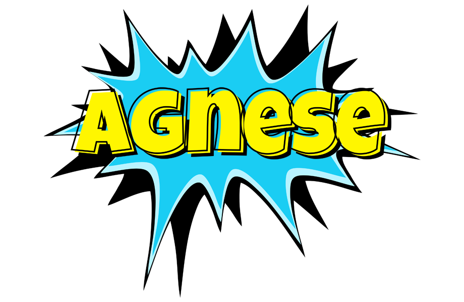 Agnese amazing logo