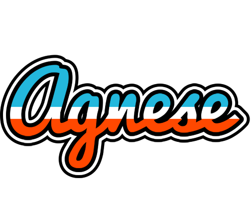Agnese america logo