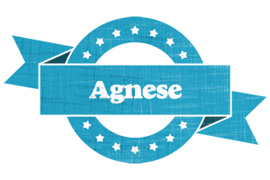 Agnese balance logo