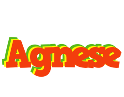 Agnese bbq logo