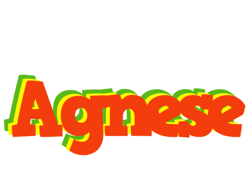 Agnese bbq logo